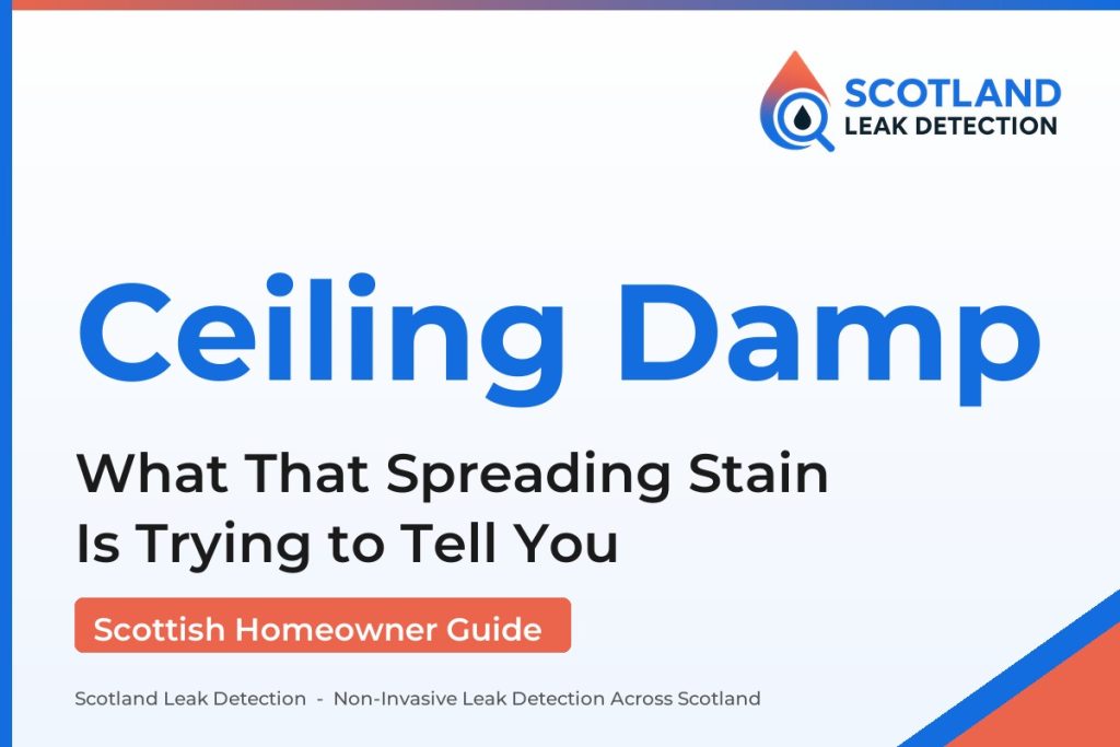 damp patch on ceiling — What That Spreading Stain Is Trying to Tell You (Scotland Leak Detection)